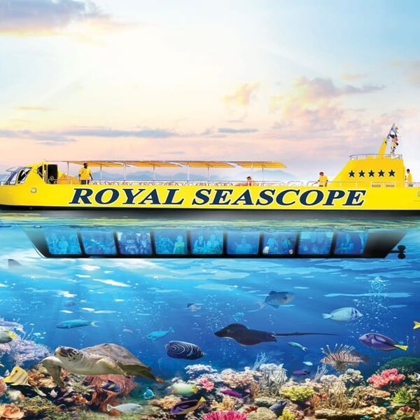 SEASCOPE – PLAVBA POLOPONORKOU V HURGHADE-18€